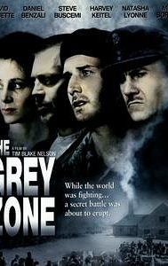 The Grey Zone