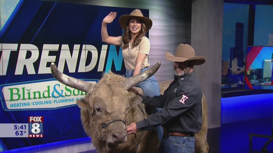 Watch: Bull visits FOX 8 ahead of upcoming rodeo