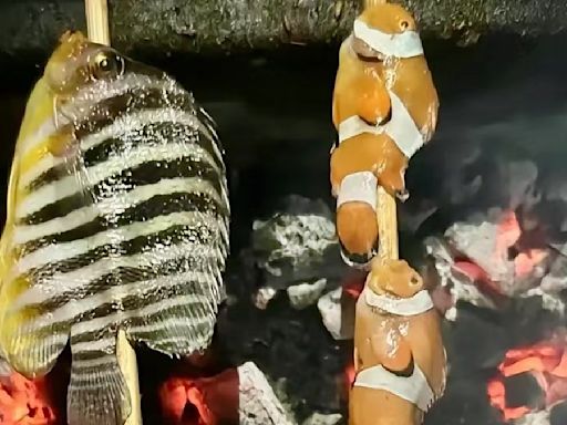 陸網友分享「串烤小丑魚」 稱「大人小孩都愛吃」網轟爆