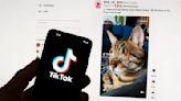 A bill that could ban TikTok advances to the Senate. What’s next?