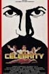 Celebrity (American TV series)