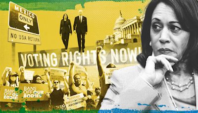 What has Kamala Harris done as vice president?