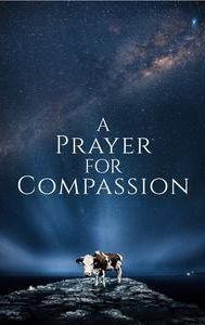 A Prayer For Compassion