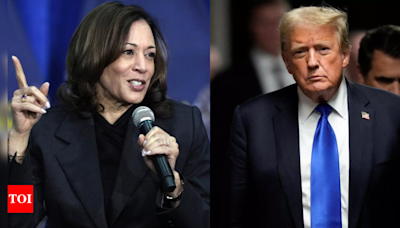 Could Kamala Harris defeat Donald Trump in the US presidential election? - Times of India