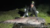 'It was a monster': Record-breaking 143-pound catfish reeled in at UK lake