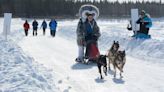 Dog mushing won't return to this year's Arctic Winter Games despite host society's efforts