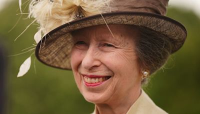 Princess Anne is prim and poised in embroidered column dress and feathers