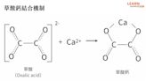 咖啡會抑制鈣吸收導致骨質疏鬆？怎麼喝咖啡才對？