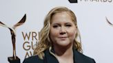 Amy Schumer, Will Forte to star in Netflix comedy 'Kinda Pregnant'
