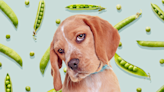 Can Dogs Eat Peas? Here's the Scoop on the Legume