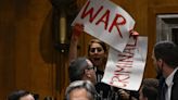 Pro-Palestine protesters repeatedly interrupt Blinken in Senate