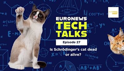 Is Schrödinger’s cat dead or alive, and other questions about quantum | Euronews Tech Talks