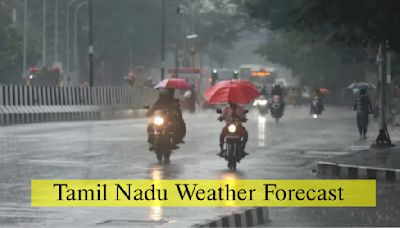 Tamil Nadu Weather Update: Chinnakalar Records 20 CMS Rains; Heavy Downpour Alert Issued