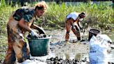 SC oyster-harvesting season closes soon to ensure food safety. Help grow next year’s crop