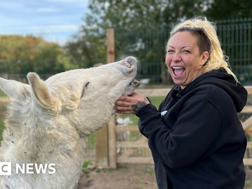 Jodie Marsh appears in court to appeal animal licence decision