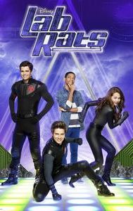 Lab Rats