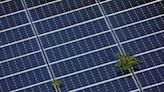 Exclusive-U.S. solar panel imports from China grow, alleviating gridlock, officials say