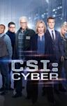 CSI: Cyber