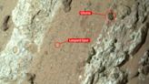 Weird Rock on Mars May Actually Show Signs of Ancient Life