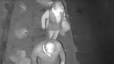Surveillance video captures older couple destroying plants at Westchester home