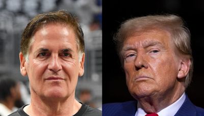 Mark Cuban wants Trump supporters to tell him what startups their man has backed that didn't involve a member of the Trump family