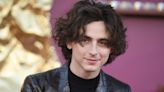 Timothée Chalamet Names Character He Wishes He Got To Play In 'Barbie' Movie
