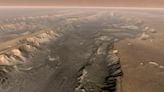 ‘Blueprint’ for alien life on Mars found in one of the coldest places on Earth