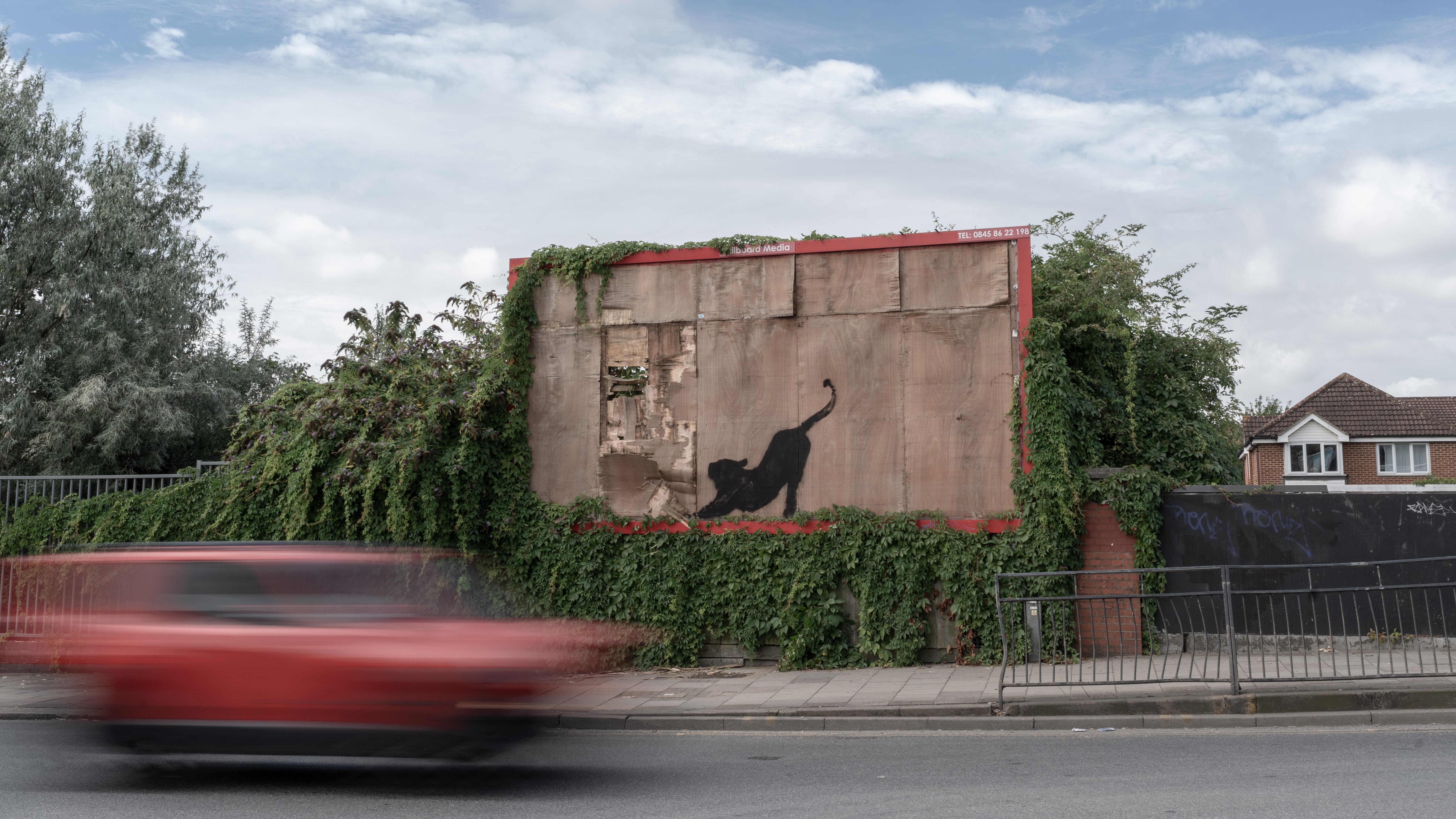 Banksy unveils stretching cat design as animal-themed collection continues