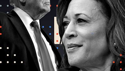 Opinion | What the Polls Tell Us About Harris vs. Trump