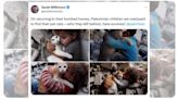 Fact Check: Real Images of Palestinian Children in Gaza Holding Their Cats in Destroyed Homes?