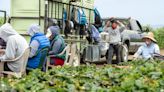 All Californians deserve access to health care, agriculture workers included