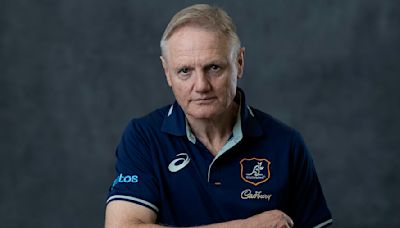 Australia boss Joe Schmidt fires warning to Andy Farrell's Lions