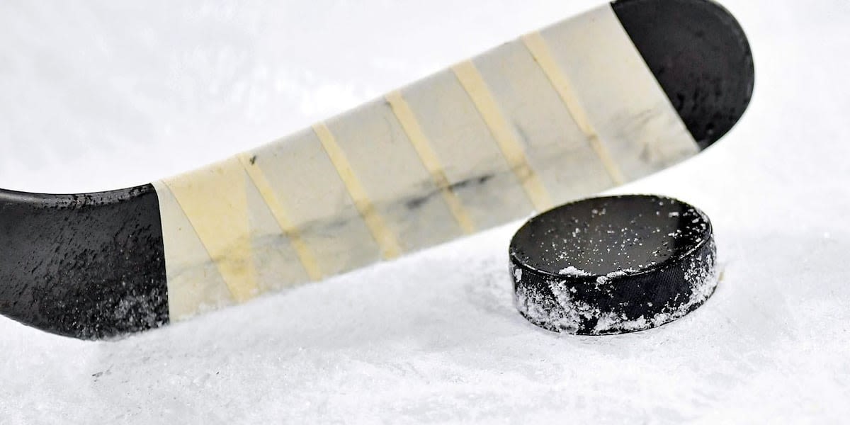 City of Monroe to unveil new professional hockey team