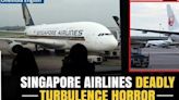 Singapore Airlines Plane Drops 6,000 Ft Amid Frightening Turbulence; 1 Dead, Dozens Injured