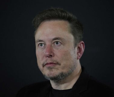 Elon Musk engages with Tommy Robinson as social media warned over misinformation