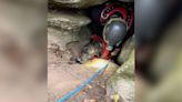 Rescatistas bajaron a una cueva profunda para salvar a un perro atrapado... y se encontraron con un oso
