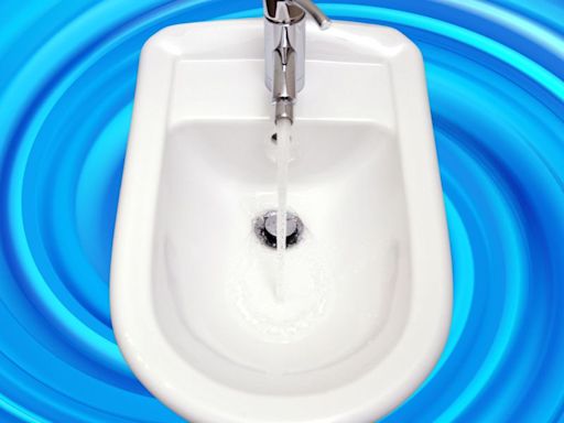 Let These Bidet Experts Convince You Why A Bidet Is The Best Option For Your Butt