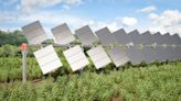 Soltec y Fraunhofer ISE se unen para crear un seguidor solar de alta eficiencia en costes