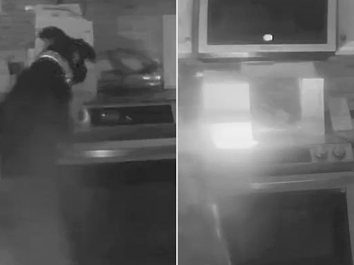'Curious' Colorado Dog Sets Their Owners' Home on Fire After Accidentally Switching on Stove