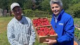 South Carolina Strawberry Festival canceled due to weather