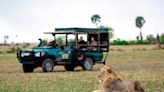 How to Plan a Safari in Botswana, According to Experts