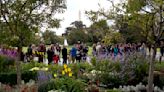 White House opens private gardens to the public for Mother’s Day weekend - WTOP News