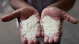 Mat Sabu: Agriculture Ministry expects local white rice supply to recover in October