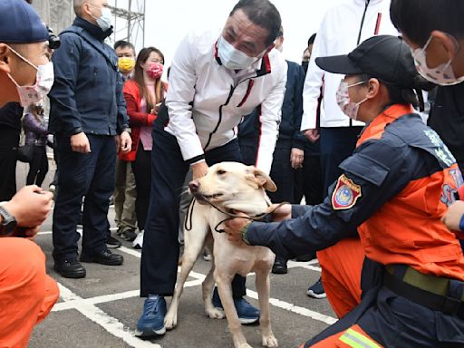 新北搜救犬「木蘭」罹癌過世 侯友宜不捨：任務結束，我們以你為傲