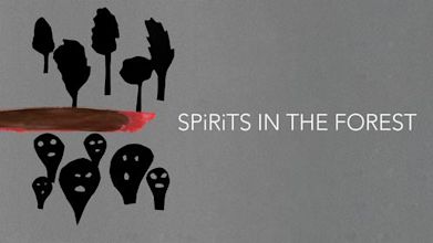 Depeche Mode: Spirits in the Forest