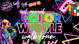 2nd Annual Color Waddle Walk/Run to Promote Mental Health - WHIZ - Fox 5 / Marquee Broadcasting