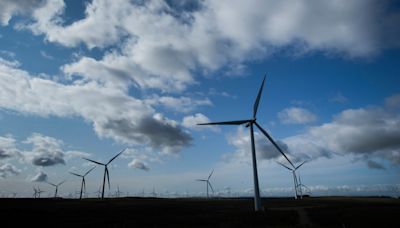 Government ditches onshore wind ban in move hailed by industry and campaigners