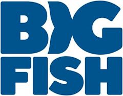 Big Fish Games