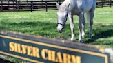 For ex-Derby winner Silver Charm, it's a life of leisure and Old Friends at Kentucky retirement farm