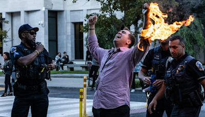 Pro-Gaza protester attempts self-immolation outside White House